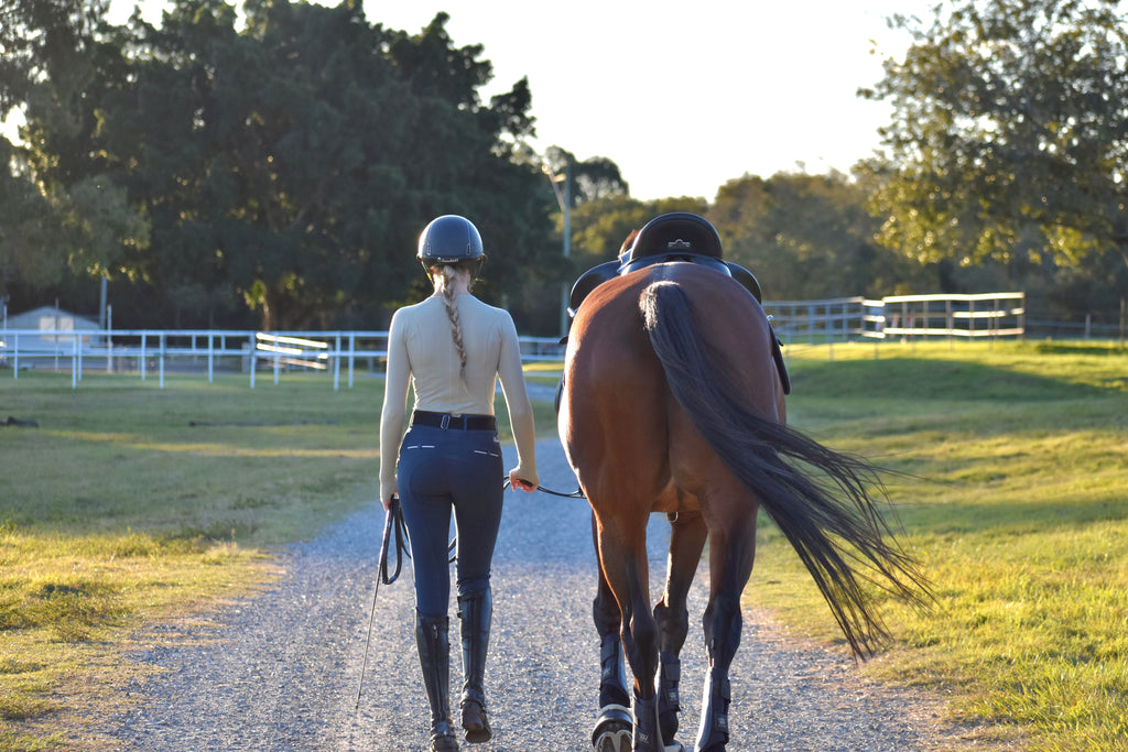 VERA Seamless Long Sleeve | Sage